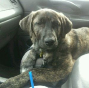 Meet your Posher, Bryan